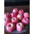 red qinguan apple exporter Fresh Paper Bagged Qinguan Apple China qinguan apple